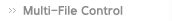 Multi File Control